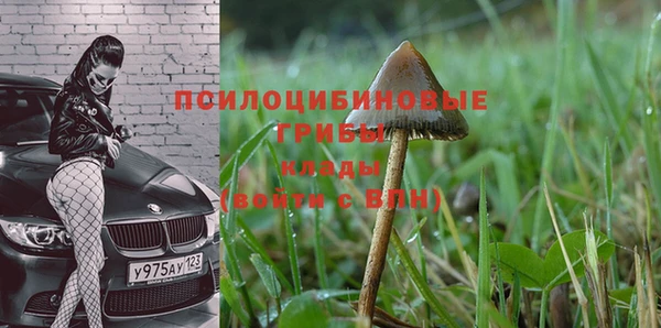 а пвп мука Алзамай