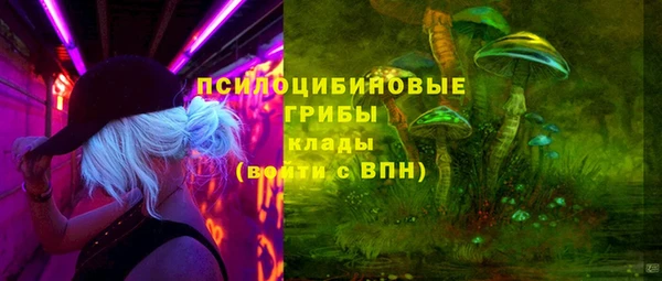 а пвп мука Алзамай