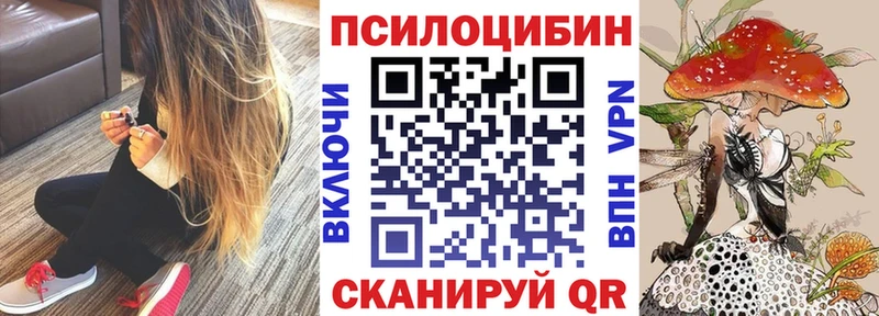 Псилоцибиновые грибы мицелий  Порхов 